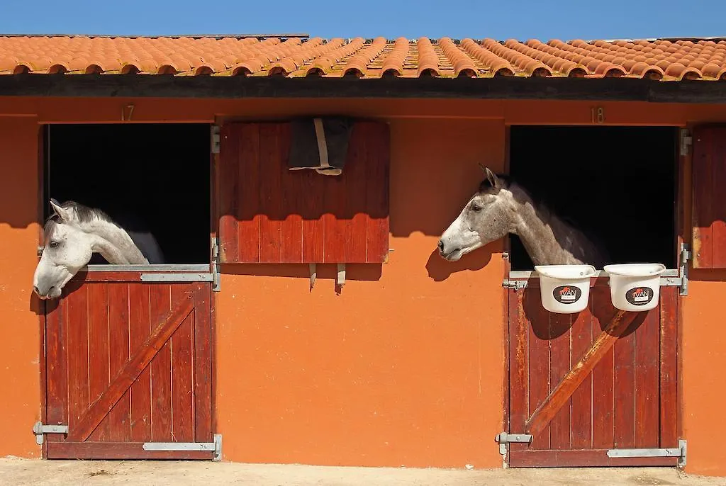 Villa Quinta Da Bicuda Guest House Cascais